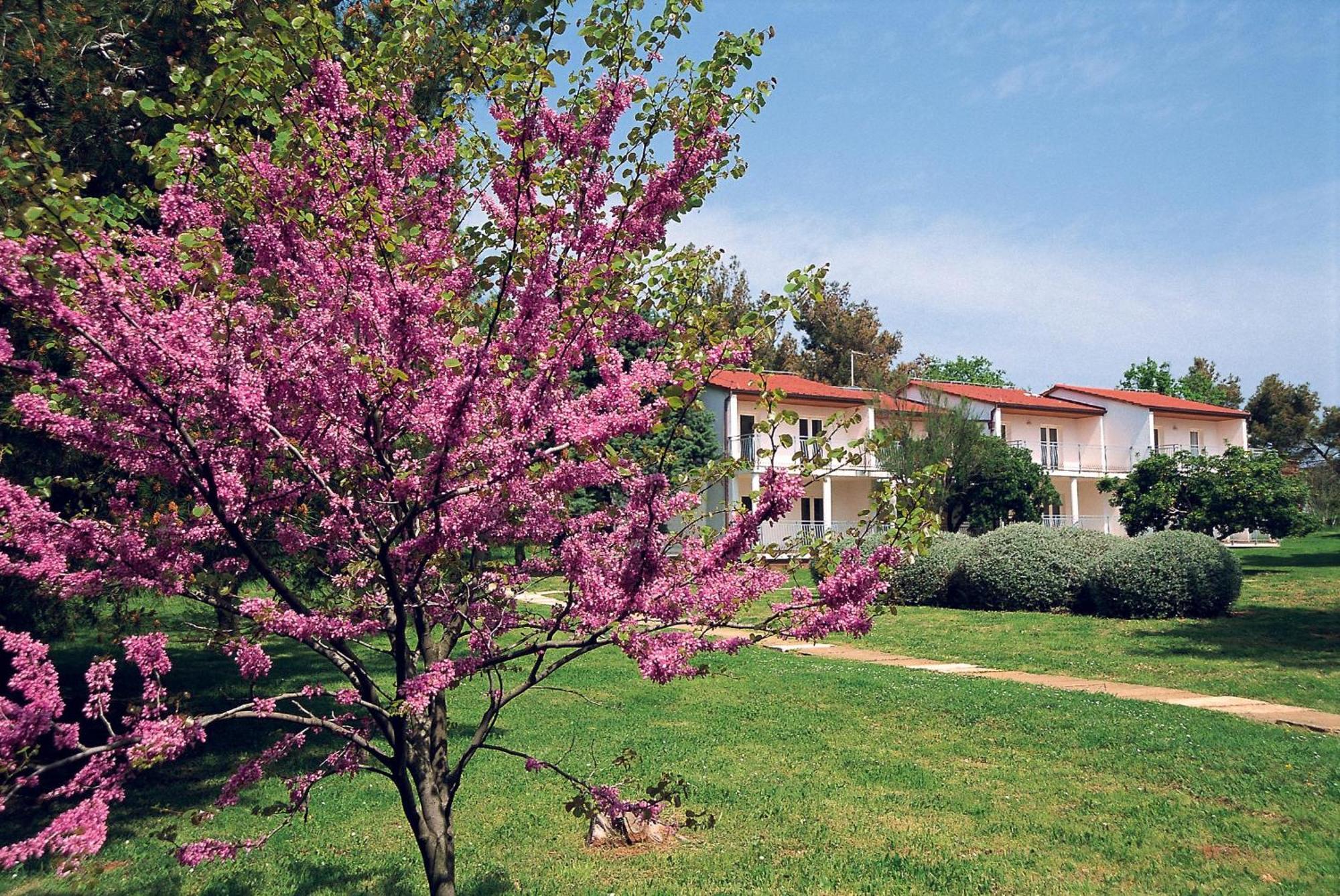 Ai Pini Medulin Resort Exterior foto